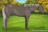 Horse Color:Silver Black 
