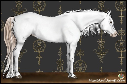 Horse Color:Liver Red Dun Ice Sabino Varnish Rabicano