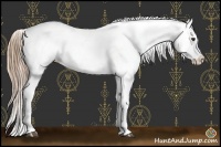 Horse Color:Liver Red Dun Ice Sabino Varnish Rabicano