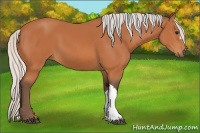 Horse Color:Silver Bay
