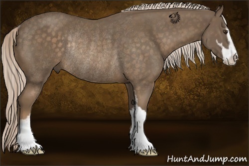 Horse Color:Chocolate Palomino Sabino Rabicano