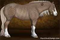 Horse Color:Chocolate Palomino Sabino Rabicano