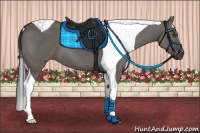 Horse Color:Grullo Tobiano