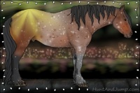 Horse Color:Bay Rabicano 