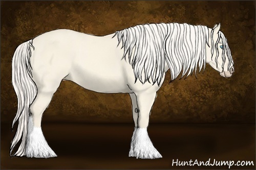 Horse Color:Cremello Dun Sabino Tobiano 