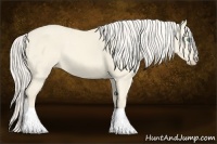 Horse Color:Cremello Dun Sabino Tobiano