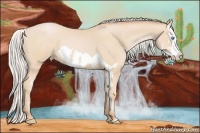 Horse Color:Silver Buckskin Pearl Splash Frame 