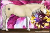 Horse Color:Silver Grullo Pearl Sabino