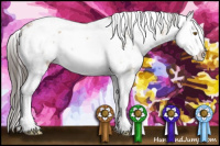 Horse Color:Classic Champagne Dun Sabino Splash