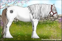 Horse Color:White Spotted Black Pearl 