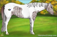 Horse Color:Plaid Black Ice Tobiano