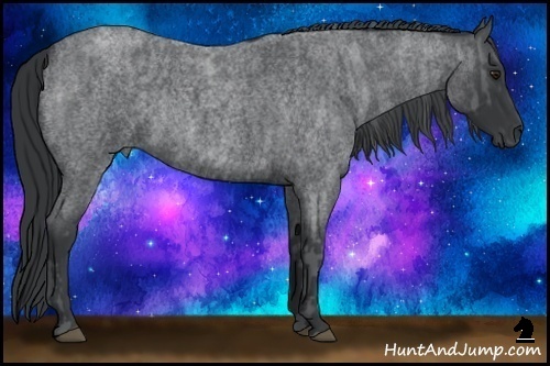 Horse Color:Blue Chinchilla Roan Rabicano  Brindle