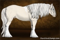 Horse Color:Cremello Tobiano 