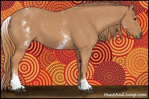 Horse Color:White Spotted Chestnut 