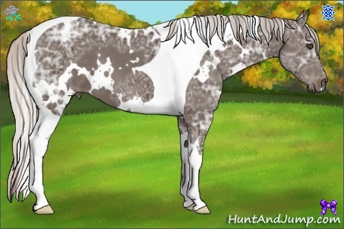Horse Color:White Spotted Silver Black Ice Tobiano