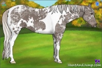 Horse Color:White Spotted Silver Black Ice Tobiano