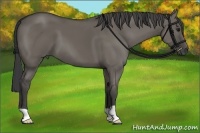 Horse Color:Smoky Grullo 