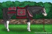 Horse Color:Black Splash 