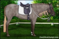 Horse Color:Liver Red Roan 