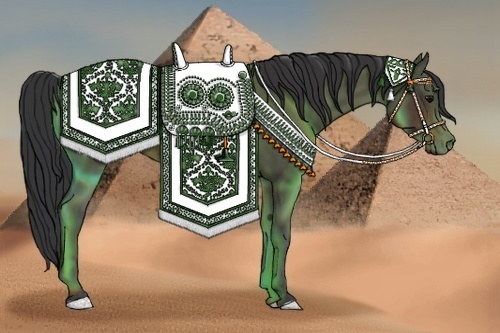 Horse Color:Brown Rabicano 