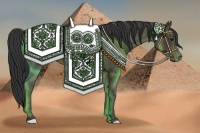 Horse Color:Brown Rabicano 