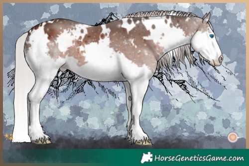 Horse Color:White Spotted Silver Brown Splash 