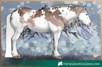 Horse Color:White Spotted Silver Brown Splash 