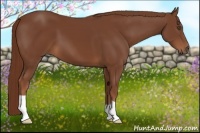 Horse Color:Chestnut Frame