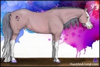 Horse Color:Watercolor Sable Cream Champagne Splash 