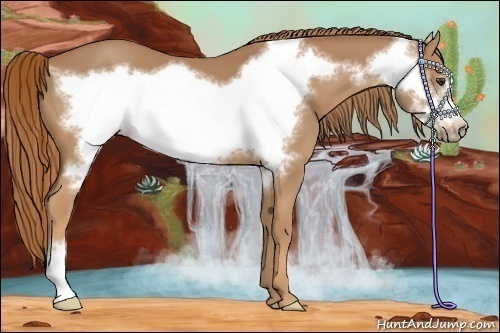 Horse Color:Chestnut Frame 