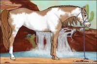 Horse Color:Chestnut Frame 