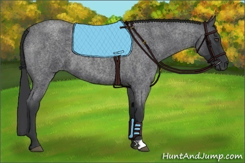 Horse Color:Blue Roan 