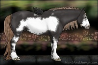 Horse Color:White Spotted Liver Chestnut Frame