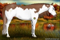 Horse Color:Chestnut Splash Frame 