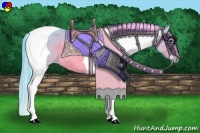 Horse Color:Watercolor Buckskin Tobiano 