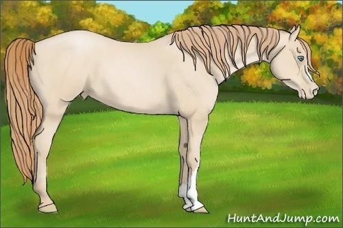 Horse Color:Smoky Black Pearl 