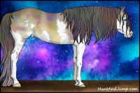 Horse Color:Nacre Buckskin Splash 