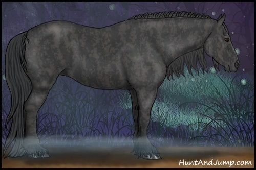 Horse Color:Black  Brindle