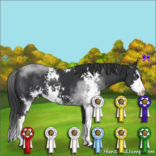 Horse Color:Black Sabino Splash