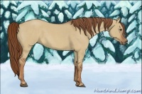 Horse Color:Red Dun Roan