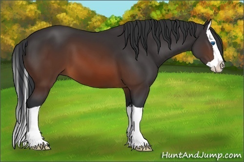 Horse Color:Brown Splash 
