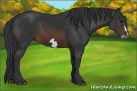 Horse Color:Brown Frame 