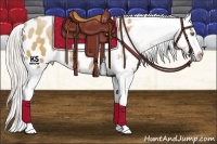 Horse Color:Silver Bay Pearl Sabino Appaloosa 