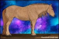 Horse Color:Chestnut  Brindle