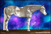 Horse Color:Silver Black Sabino