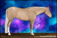 Horse Color:Silver Black Pearl 