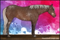 Horse Color:Silver Bay 