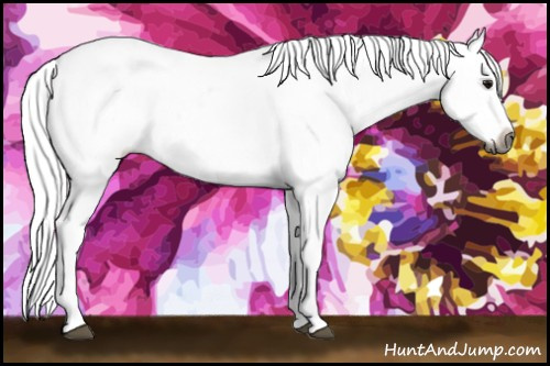 Horse Color:Gray Bay Ice Dun Near Leopard