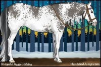 Horse Color:White Spotted Grullo Splash Rabicano