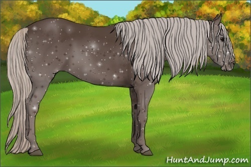 Horse Color:Silver Black Sabino 